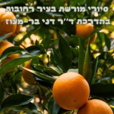 סיורי מורשת ברחובות בהדרכת ד"ר דני בר-מעוז